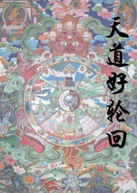 《天道好轮回》