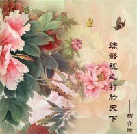 《(综影视同人)综影视之打脸天下》