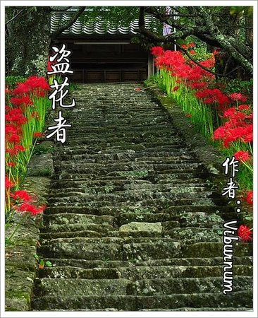 《(彩虹同人)盗花者》