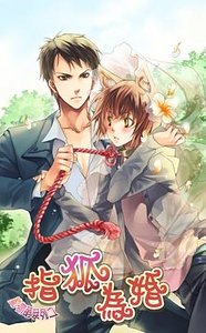 《动物萌系列之指狐为婚(出书版)》