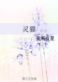 《灵猫》