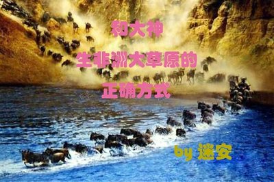 和大神生非洲大草原的正确方式