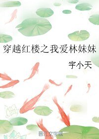 《(红楼同人)穿越红楼之我爱林妹妹》