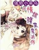 强势小菜鸟：情挑腹黑魔法师