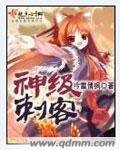 《神级刺客》