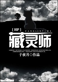 《(HP同人)藏灵师》