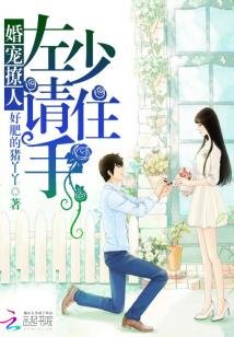 《婚宠撩人:左少,请住手》