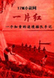 《边境插队手记》
