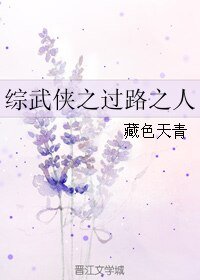 《(综武侠同人)综武侠之过路之人》