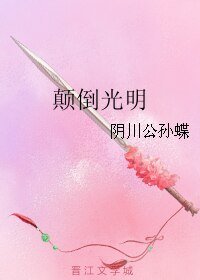 《颠倒光明》