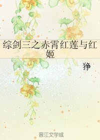 《(BL/综同人)综剑三之赤霄红莲与红姬》