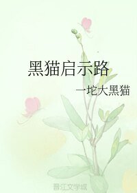 《猫启示路》