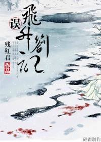 误·飞升札记