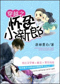 穿越之怀孕小新郎