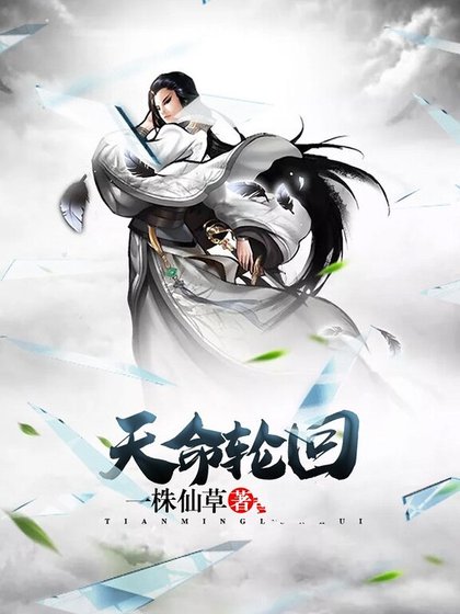 《天命轮回》