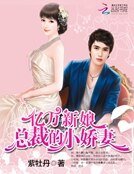 《亿万新娘:总裁的小娇妻》