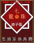 《(七龙珠同人)七龙珠之黑绸军的再兴》