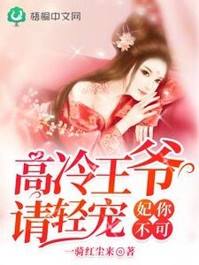 《妃你不可:高冷王爷请轻宠》