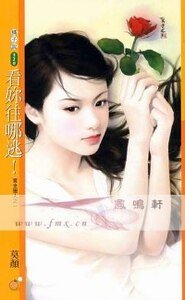 《看你往哪逃!(赏金猎人系列之一)》