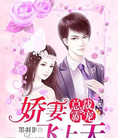 《总裁霸宠:娇妻飞上天》