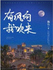 《有风向我吹来》