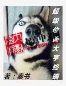 《超级位面大亨终端》