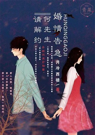 《婚情告急:何先生请解约》