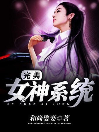 《完美女神系统》