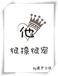 《他很撩很宠》