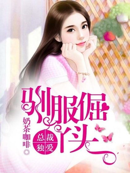 总裁独爱,驯服倔丫头
