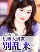 《机器人男友,别乱来》