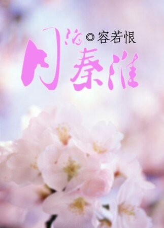 《月泊秦淮》