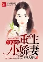 《首长惊情:重生小娇妻》