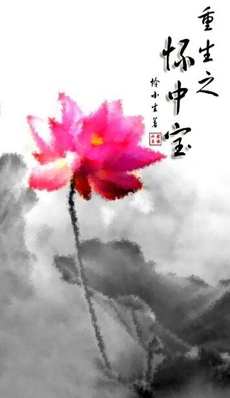 重生之怀中宝