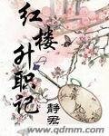 （红楼同人）红楼升职记