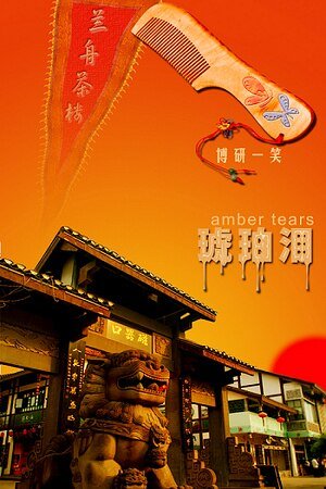 《琥珀泪(又名:同志挽歌)》