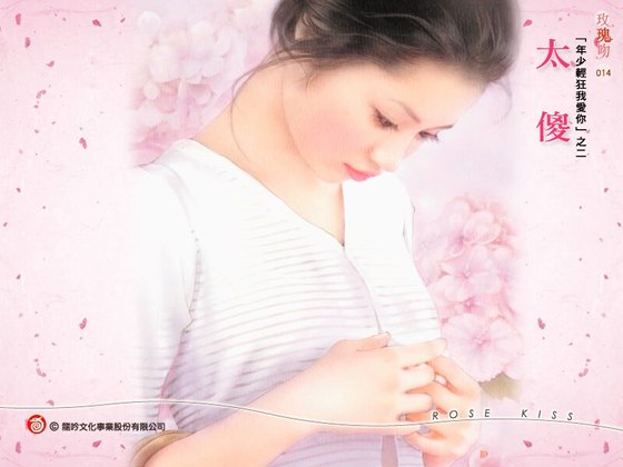 《太傻(年少轻狂我爱你系列之二)》