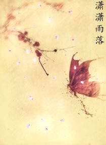 潇潇雨落