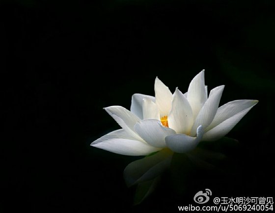 《渡我成佛》