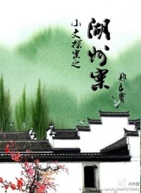 《小文探案之湖州案》