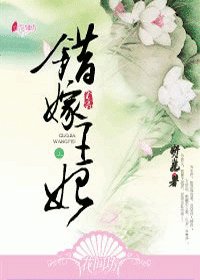 《错嫁王妃》