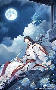 （综同人）（综）弦华锦瑟
