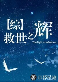 （综同人）[综]救世之辉