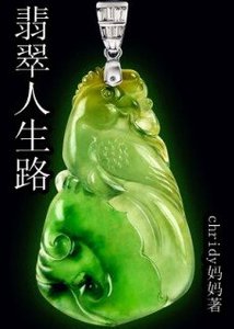 《重生之翡翠人生路》