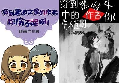 《穿到黑道文里的作者你伤不起啊!》