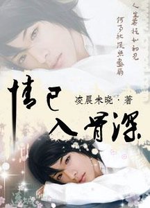 《情已入骨深(原名:已道惘然,燊始惜非)》