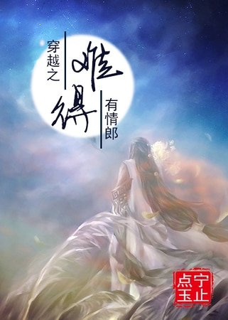 《穿越之难得有情郞》