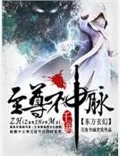 《至尊神脉》