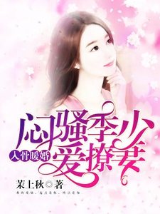 《入骨暖婚:闷骚季少爱撩妻》
