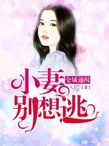 《全城通缉,小妻别想逃!》
